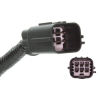 2508654-plug.png