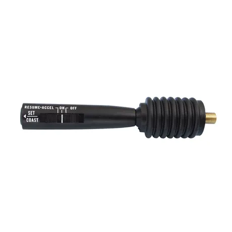 Cruise Control Switch