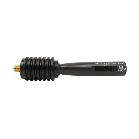 Cruise Control Switch